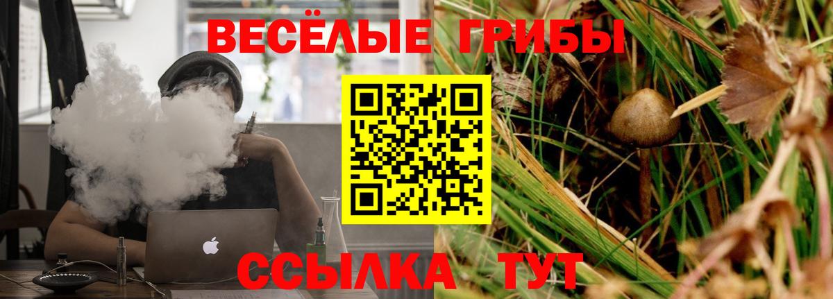 Каспийск  где купить наркоту  Вход с VPN  Псилоцибиновые грибы мухоморы 
