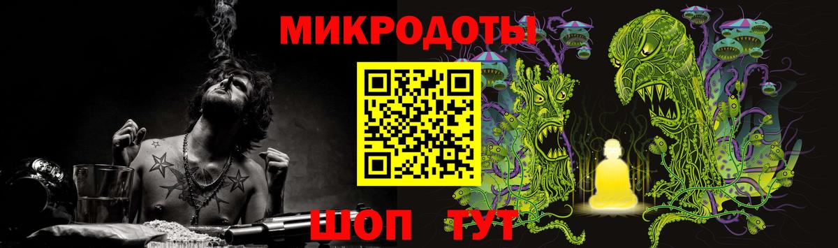 Псилоцибиновые грибы Psilocybine cubensis Каспийск